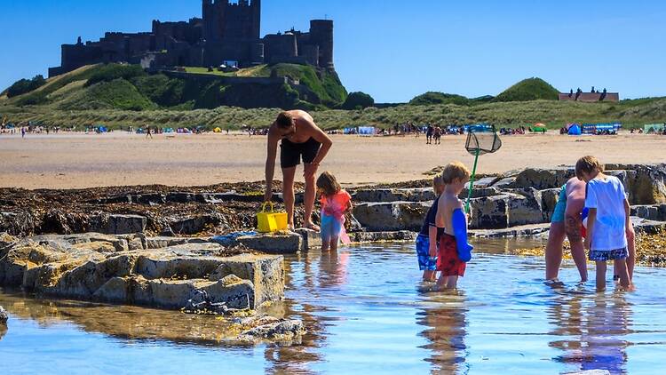 On the beach at Bamburgh, Northumberland On the beach at Bamburgh, Northumberland