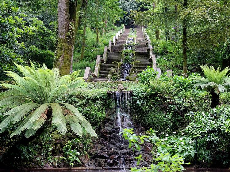 Portugal is now officially home to the world’s fourth certified ‘healing forest’ – here’s where to find it