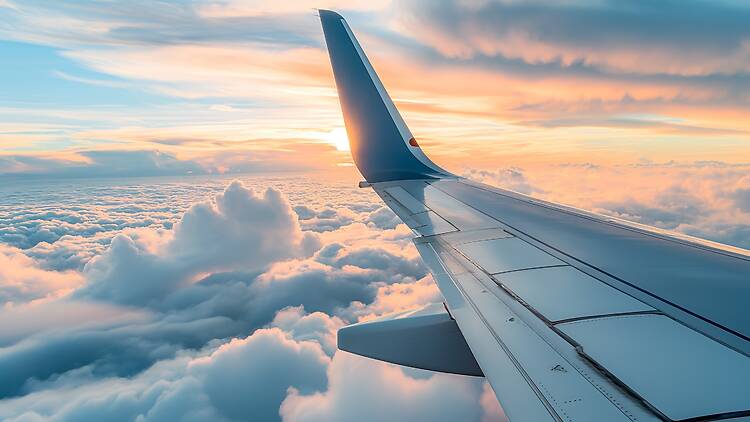 Wing of an airplane Wing of an airplane