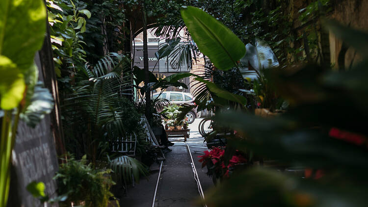 Slow Living in Buenos Aires: Cafés and Corners to Slow Down