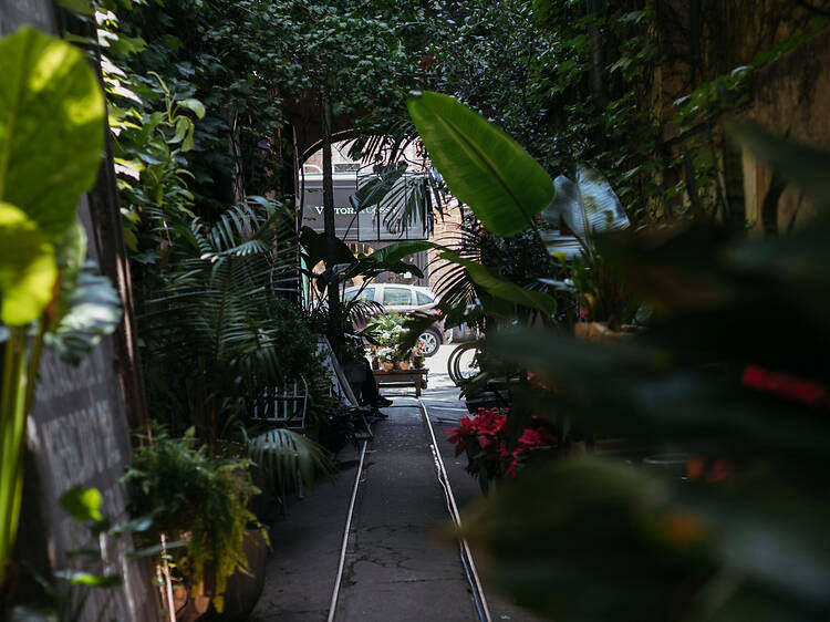 Slow Living in Buenos Aires: Cafés and Corners to Slow Down