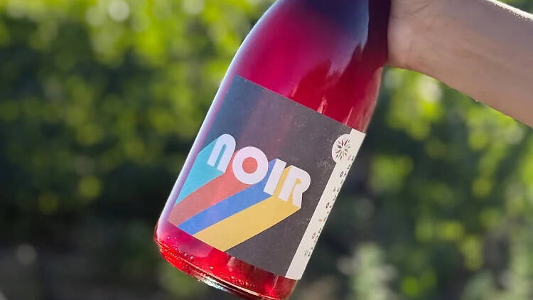 Colores Pinot Noir by Bodega Flor Silvestre Colores Pinot Noir by Bodega Flor Silvestre