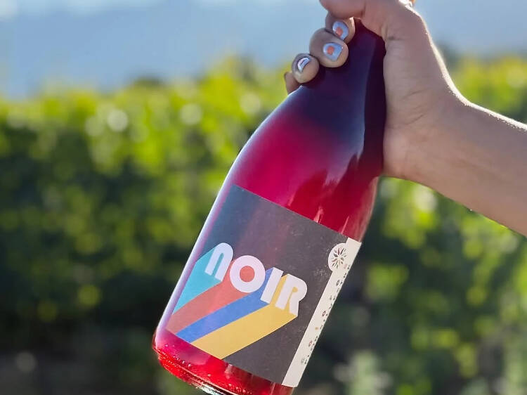 Colores Pinot Noir by Bodega Flor Silvestre Colores Pinot Noir by Bodega Flor Silvestre