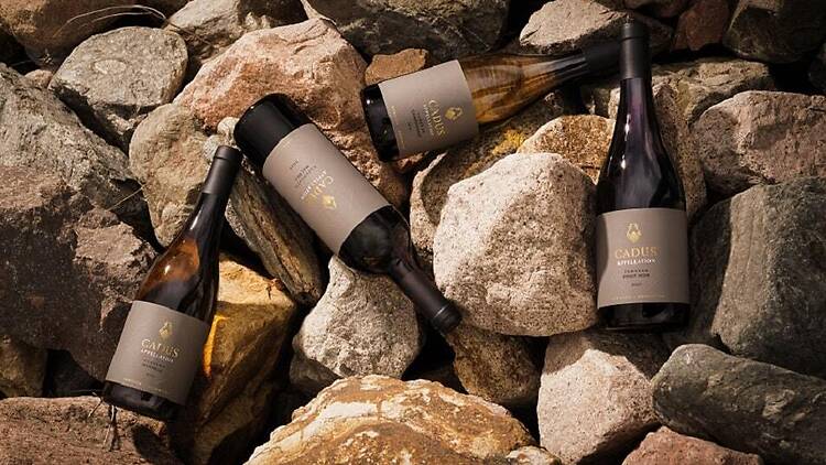 Cadus Appellation Pinot Noir TunuyĂĄn Cadus Appellation Pinot Noir TunuyĂĄn
