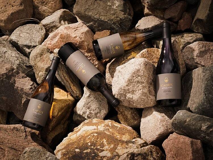 Cadus Appellation Pinot Noir TunuyĂĄn Cadus Appellation Pinot Noir TunuyĂĄn