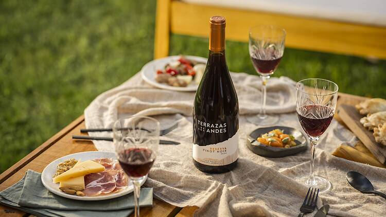 Terrazas de los Andes Reserva Pinot Noir Terrazas de los Andes Reserva Pinot Noir