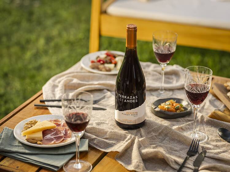 Terrazas de los Andes Reserva Pinot Noir Terrazas de los Andes Reserva Pinot Noir