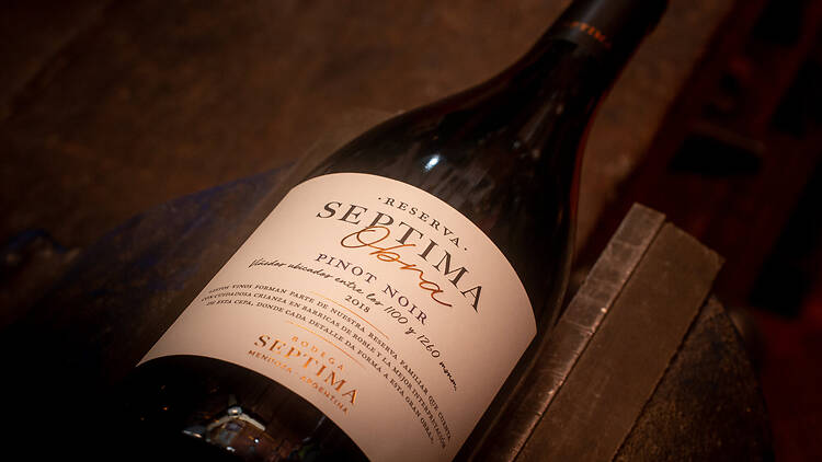 Séptima Obra Reserva Pinot Noir by Bodega Séptima Séptima Obra Reserva Pinot Noir by Bodega Séptima