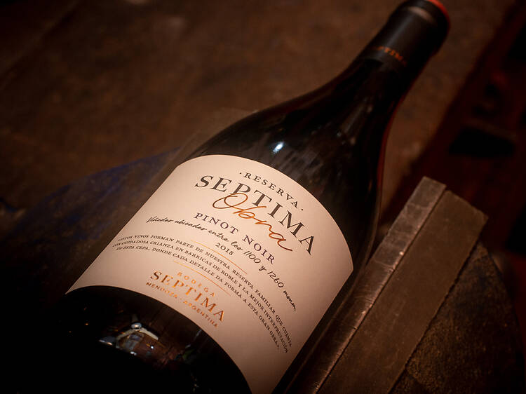 Séptima Obra Reserva Pinot Noir by Bodega Séptima Séptima Obra Reserva Pinot Noir by Bodega Séptima