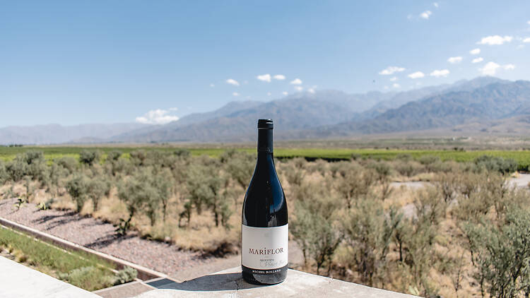 Mariflor Pinot Noir by Bodega Rolland Mariflor Pinot Noir by Bodega Rolland