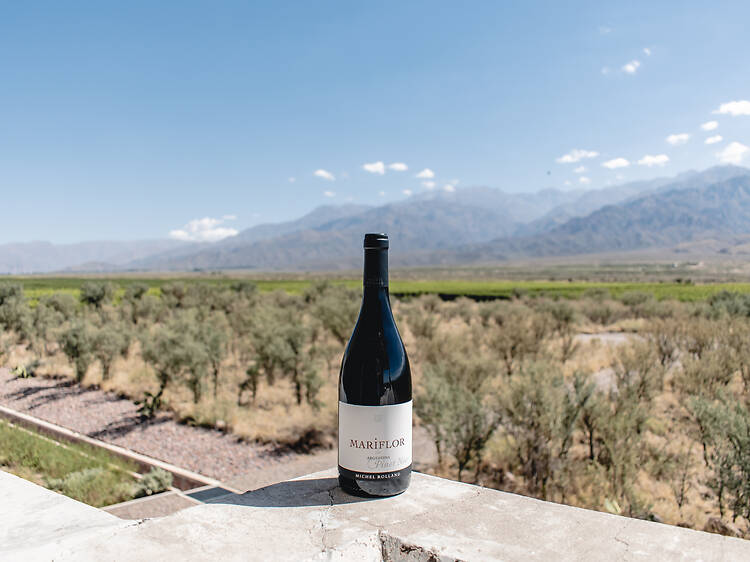 Mariflor Pinot Noir by Bodega Rolland Mariflor Pinot Noir by Bodega Rolland
