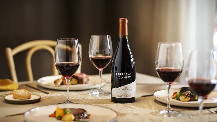 Why Everyone Is Talking About Pinot Noir: 10 Wines from Mendoza to Celebrate Its Day