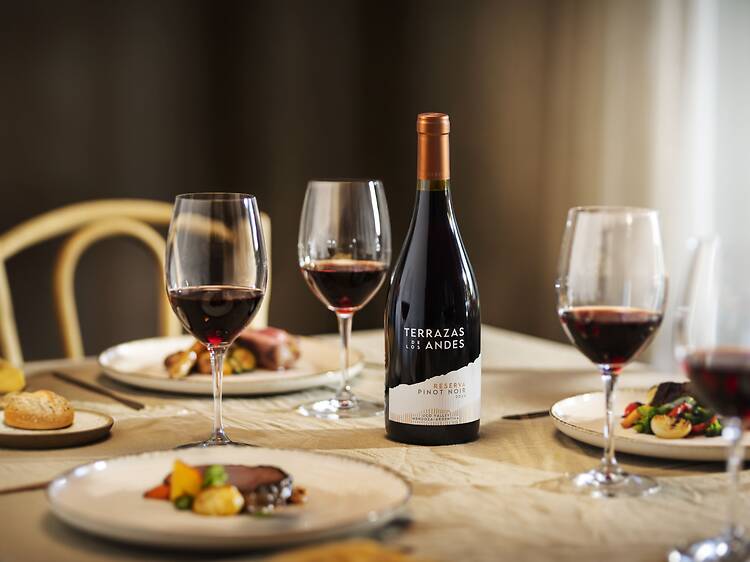 Why Everyone Is Talking About Pinot Noir: 10 Wines from Mendoza to Celebrate Its Day