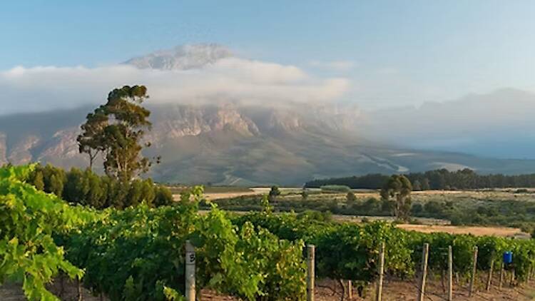 Saronsberg