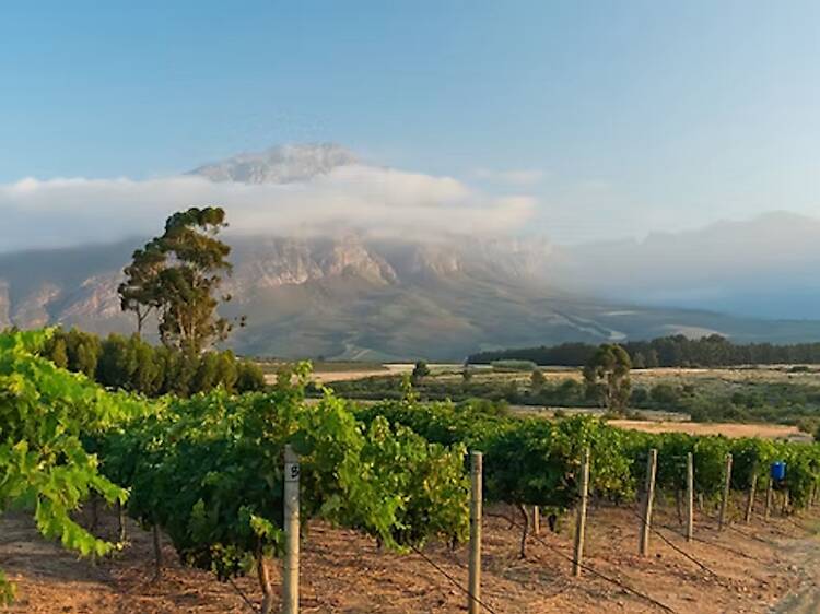 Saronsberg
