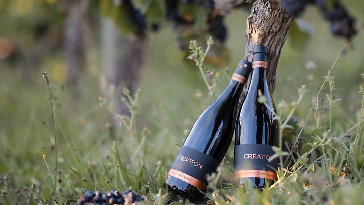 Creation Wines