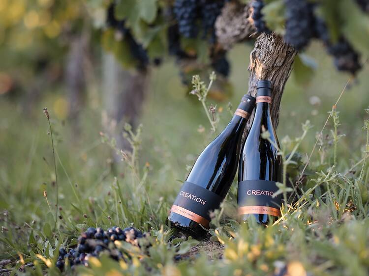 Creation Wines