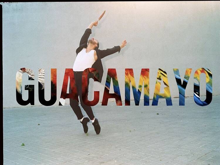 Guacamayo - José Maldonado Guacamayo - José Maldonado