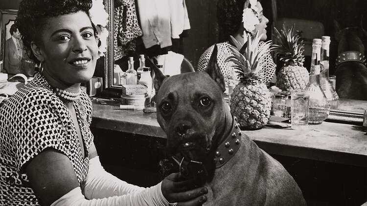 Unleashed: Pets of the Performing Arts