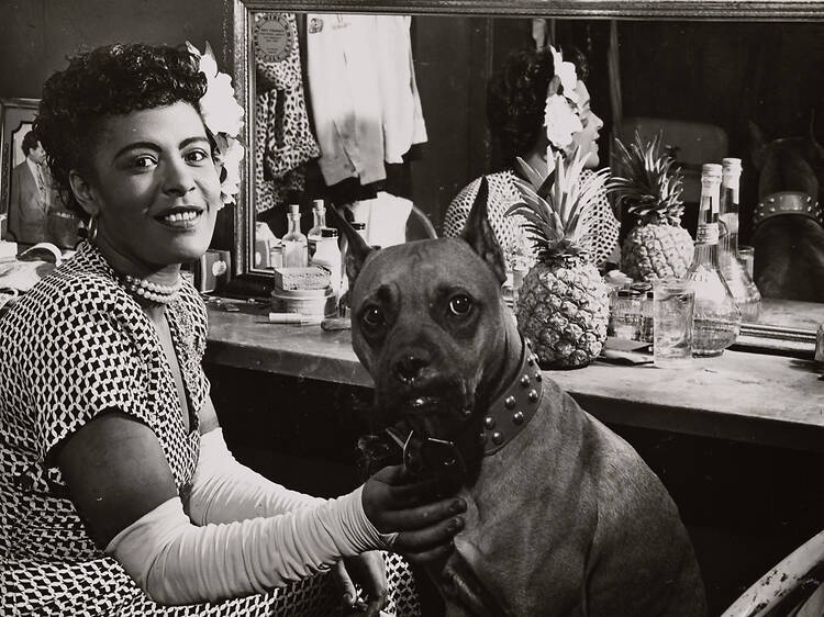Unleashed: Pets of the Performing Arts