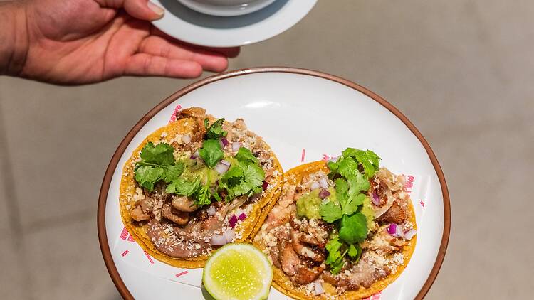 Taco series at Narda Comedor