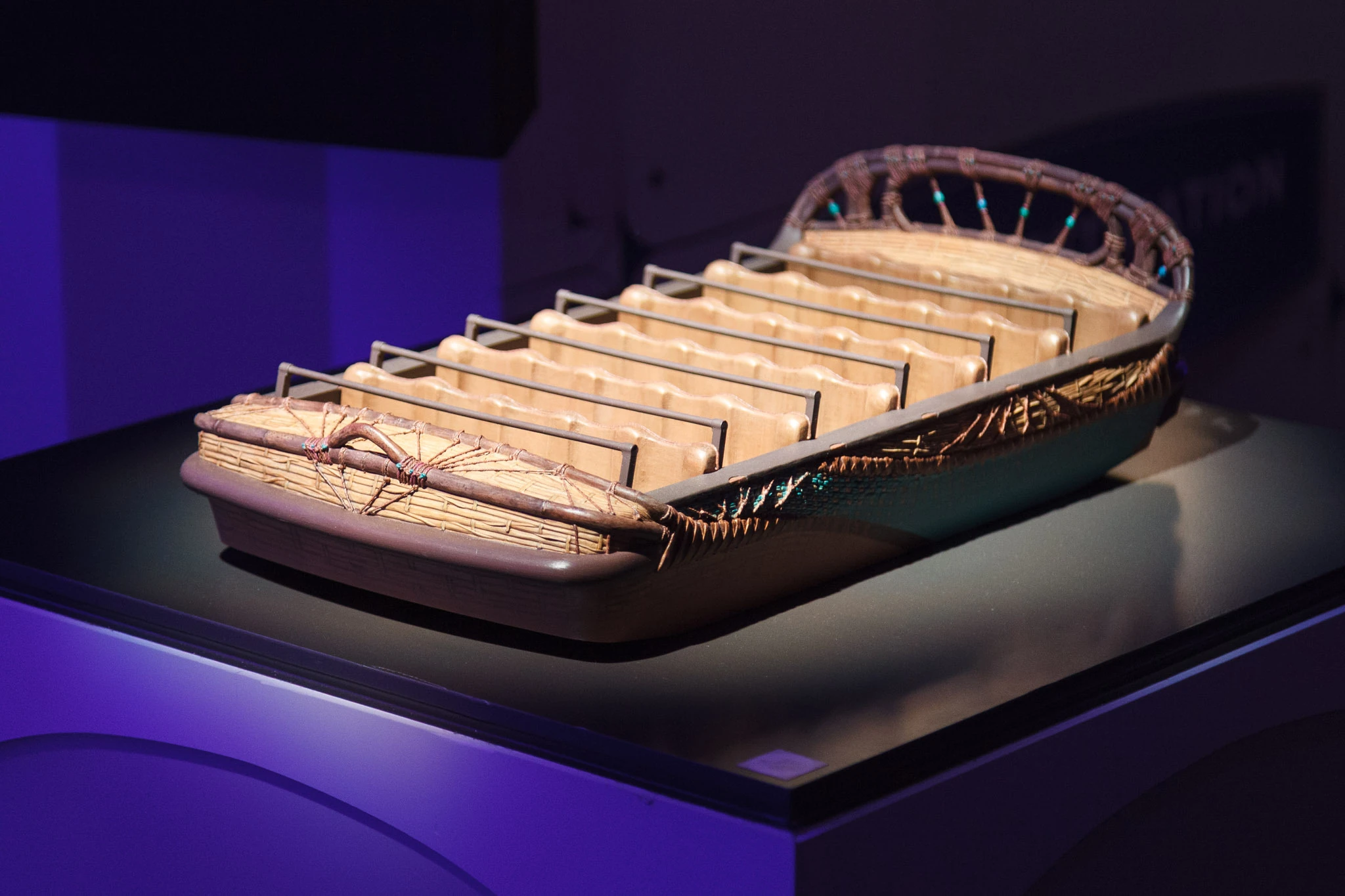 Avatar destination at Disney California Adventure ride vehicle model at D23 2026