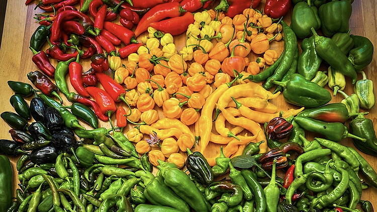 A close-up of assorted peppers displayed on a table