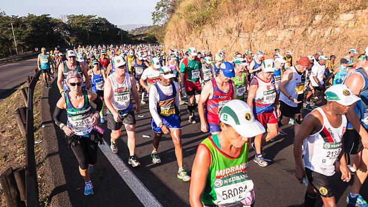 Runners take part in the Comrades Marathon in KwaZulu-Natal.