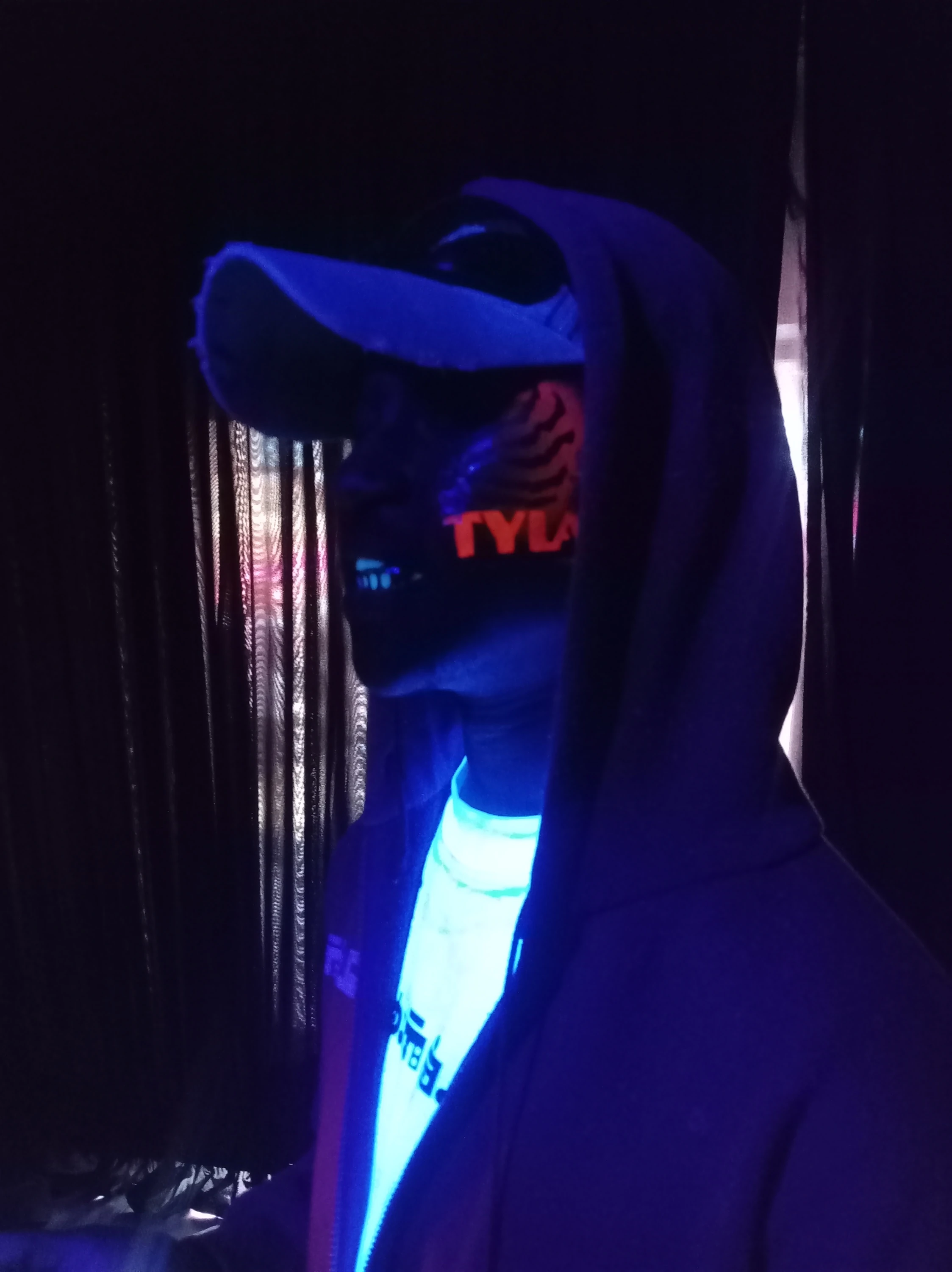 Tygers got their faces painted, played games and purchased Tyla merch at Gold Reef on Sunday.