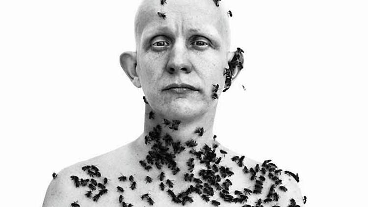 3. Ronald Fischer, beekeeper, Davis, California, May 9, 1981 3. Ronald Fischer, beekeeper, Davis, California, May 9, 1981
