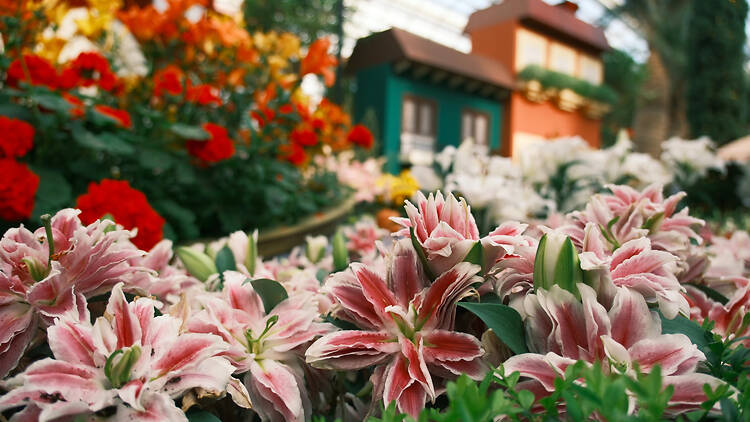Uncover a rare side of ancient Egypt at Gardens by the Bay Uncover a rare side of ancient Egypt at Gardens by the Bay