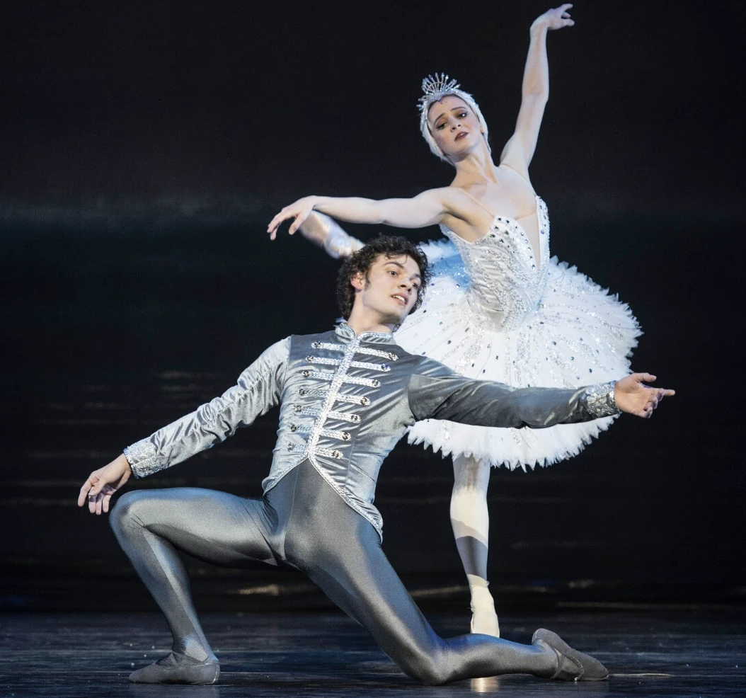 Swan Lake tells the tragic story of a princess who is turned into a swan when a socerer casts a spell on her.