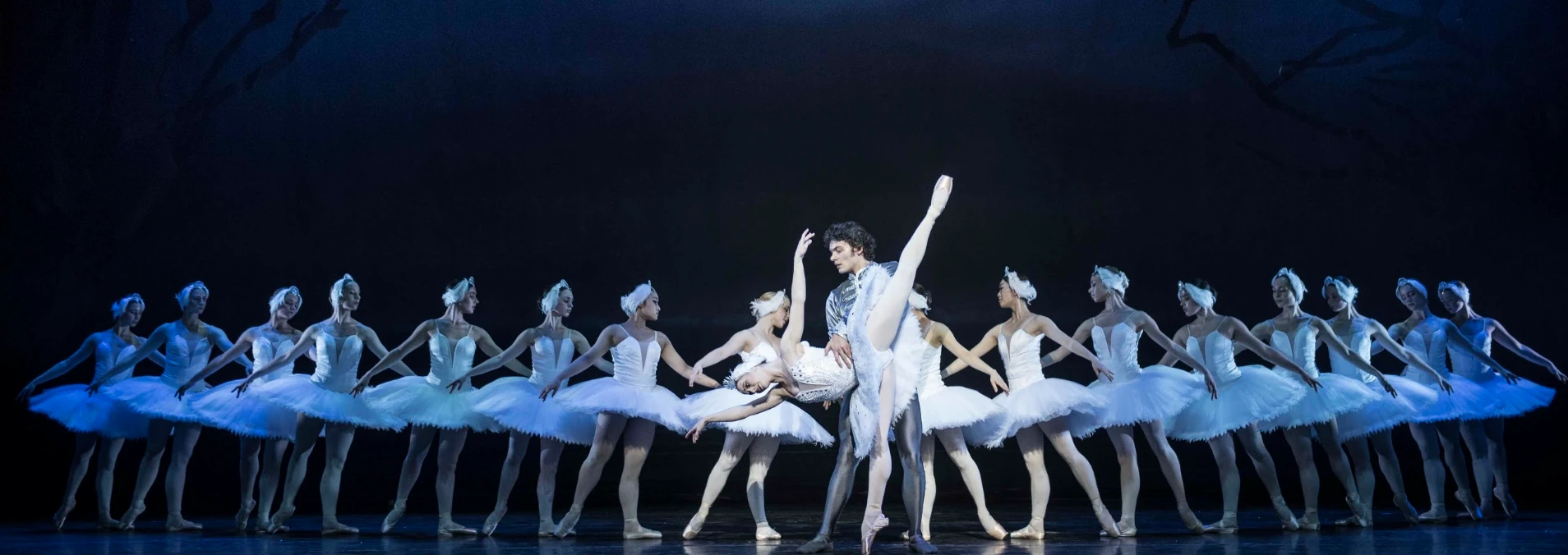 Swan Lake is currently on stage at The Teatro in Monte Casino.
