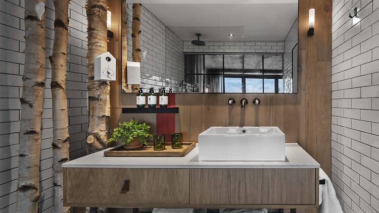 Treehouse Hotel bathroom, with a tree growing next to the sink