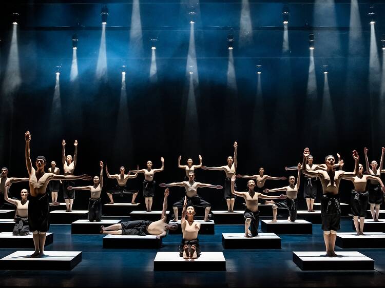 cacti by alexander ekman, royal opera stockholm Dancers perform in synchronized poses on individual white platforms under dramatic spotlights in Alexander Ekman's Cacti at the Royal Swedish Opera.