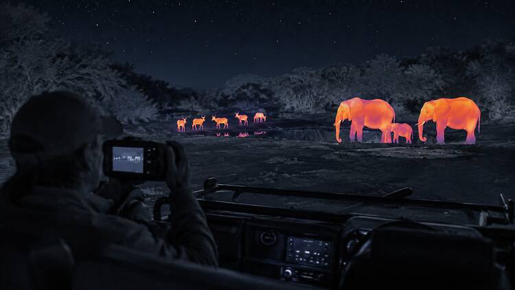 Thermal Night Safari & Stargazing Thermal Night Safari & Stargazing