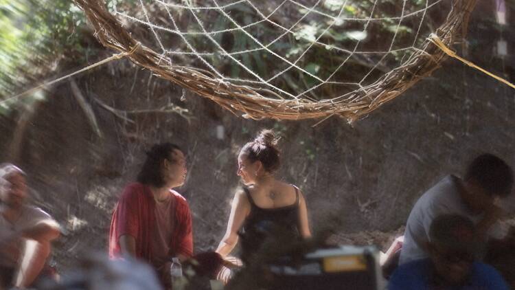 Mycelium Festival