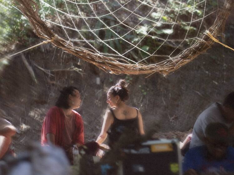 Mycelium Festival