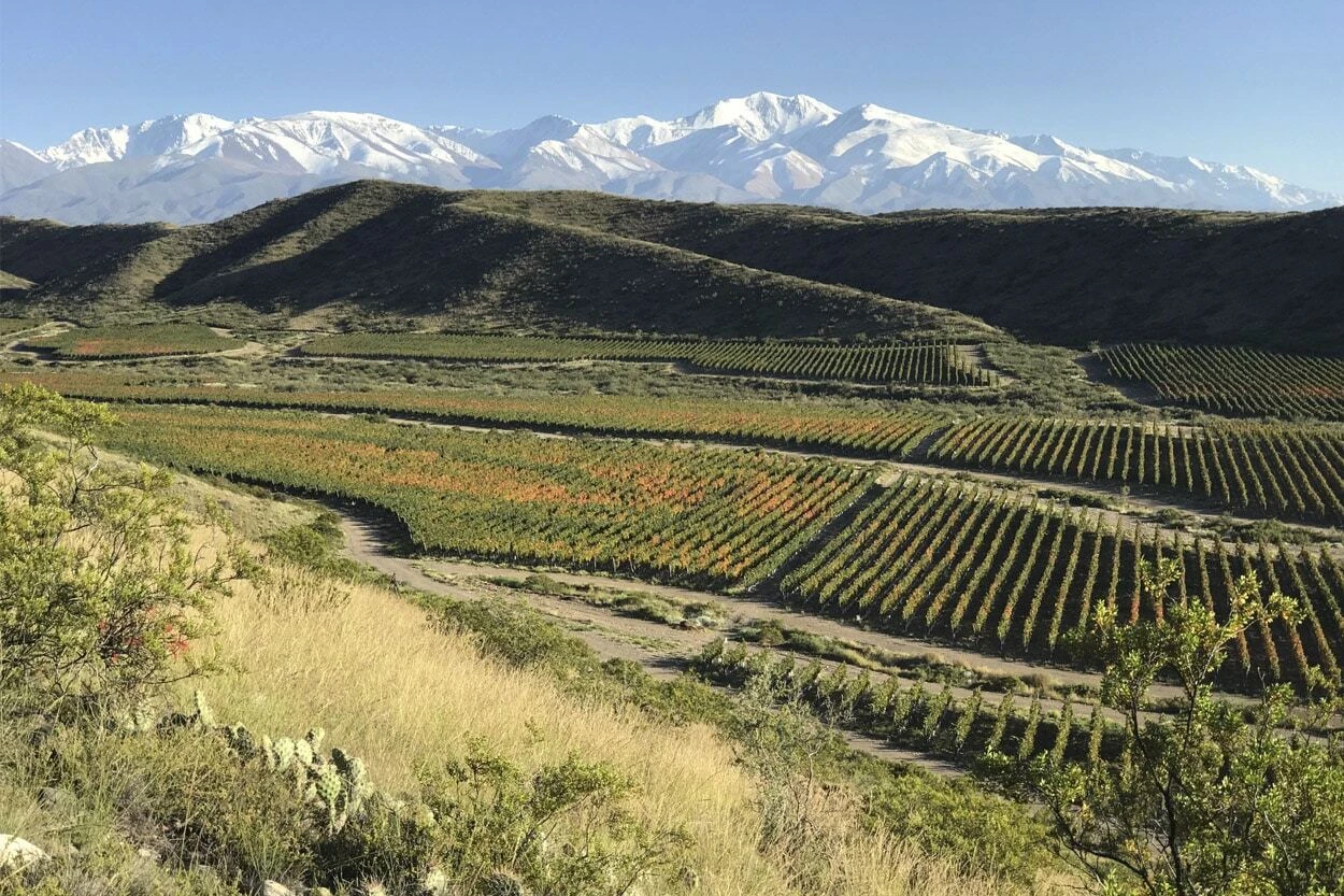 gualtallary-valle-de-uco