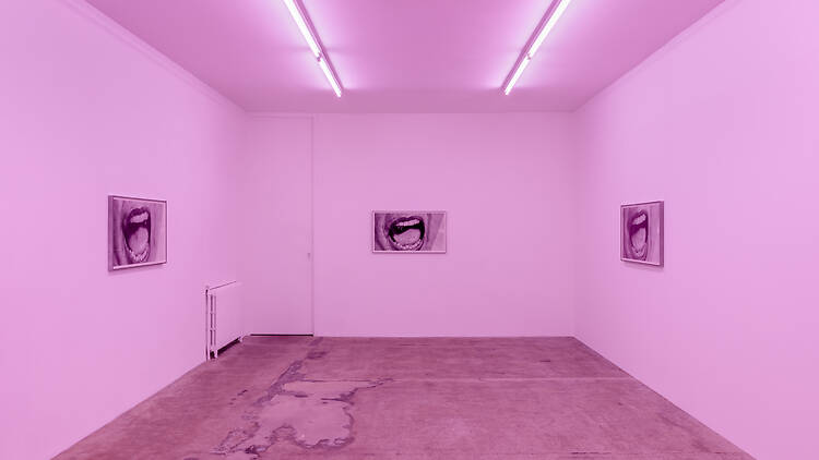 Rose Easton gallery lit up with pink lights 