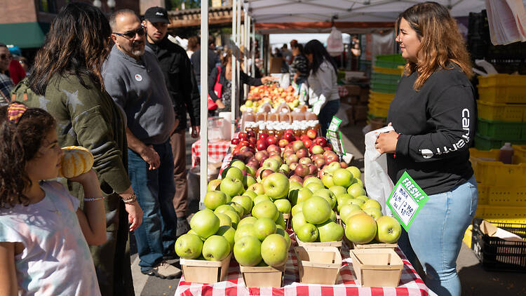Lincoln Square Ravenswood Apple Fest