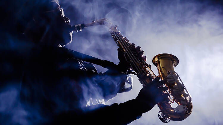 Your comprehensive guide to Standard Bank Joy of Jazz 2026