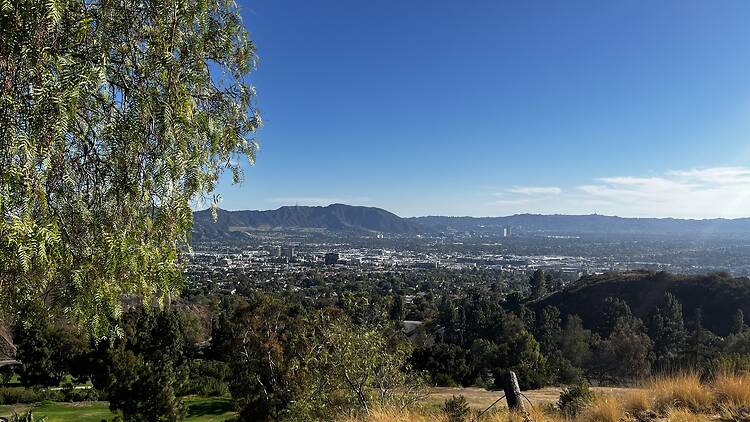 A view of the San Fernando Valley from the Verdugo Mountains