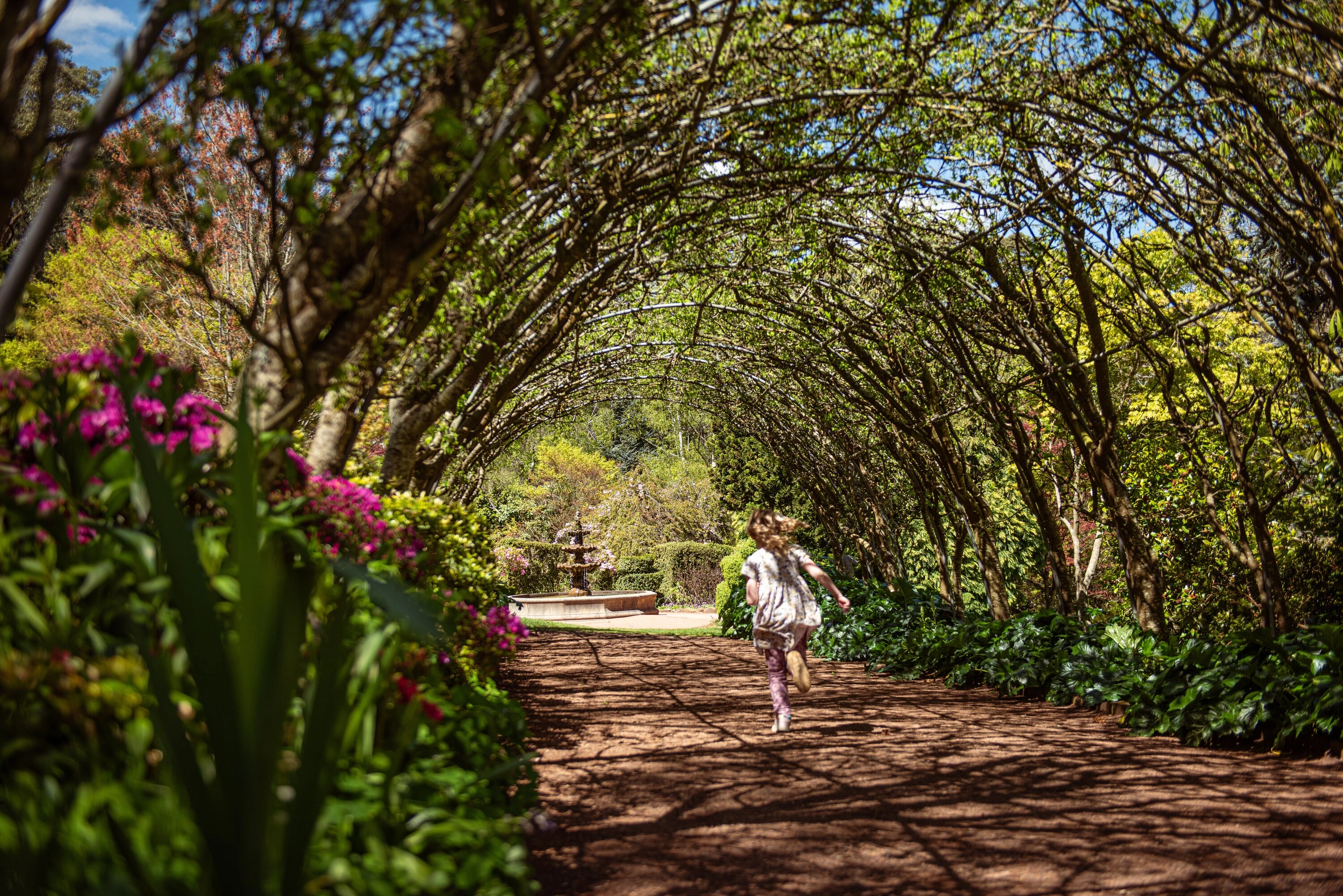 Forest Glade Gardens