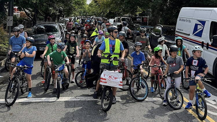 A wide shot of cyclists riding bicycles along a tree-lined city street. A wide shot of cyclists riding bicycles along a tree-lined city street.