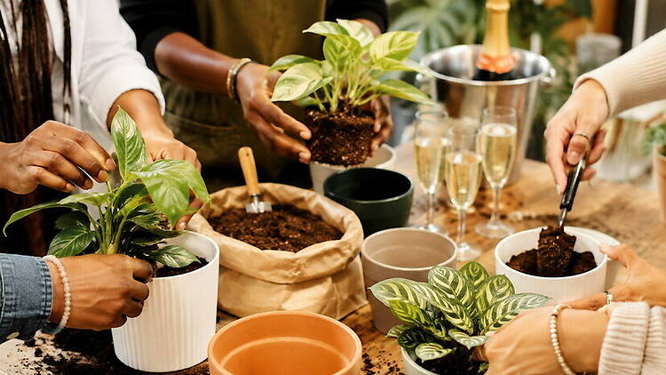 Close-up of hands potting small plants on a table at an indoor gathering