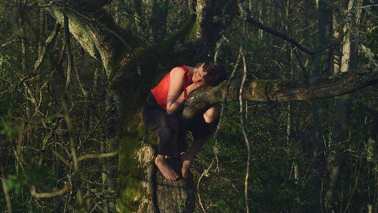 Once Upon a Time in a Forest, 2024