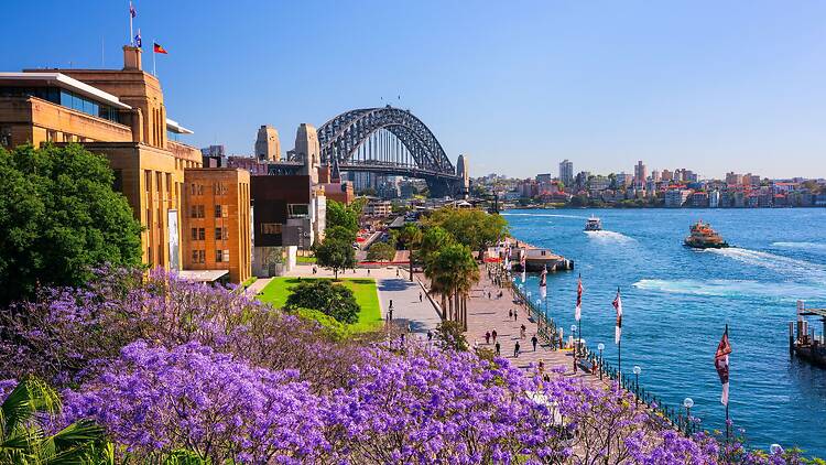 Sydney, NSW Sydney, NSW