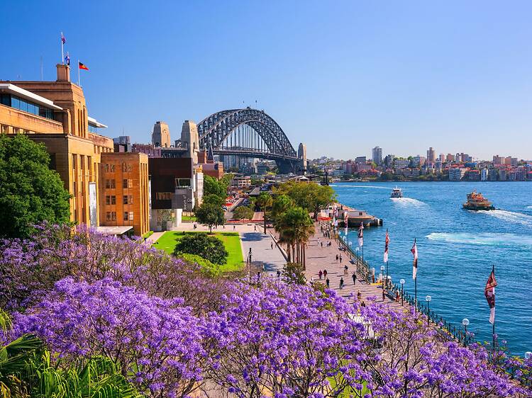 Sydney, NSW Sydney, NSW