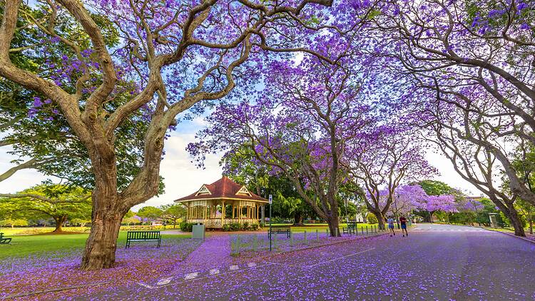 Brisbane, QLD Brisbane, QLD